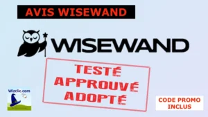 AVIS WISEWAND wisewand.ia